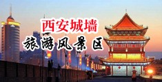 大学生一级插逼骚穴黄片中国陕西-西安城墙旅游风景区